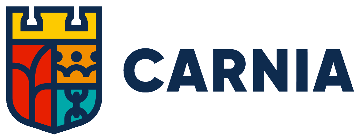 Platforma all in one | Carnia traffic